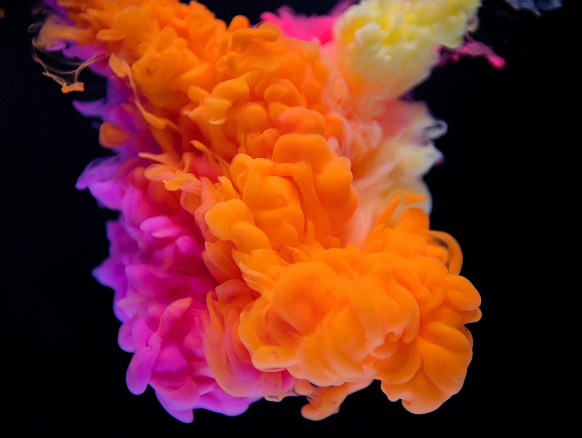 colorful-colourful-free-wallpaper-1496187.jpg?ph=cce87f3537